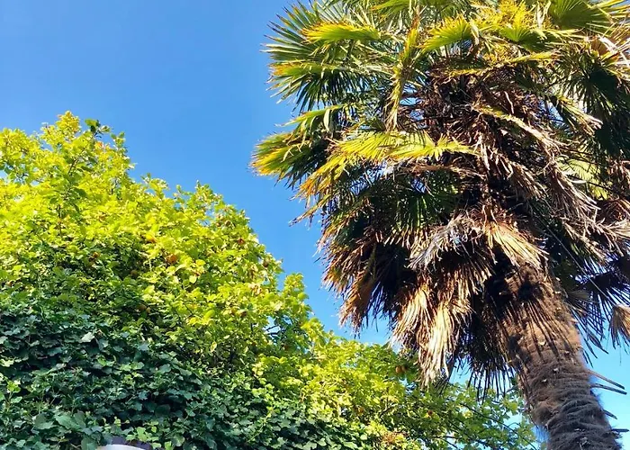 Port Du Moulin Blanc Otel